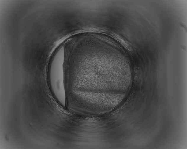 X0000092301264200710051214