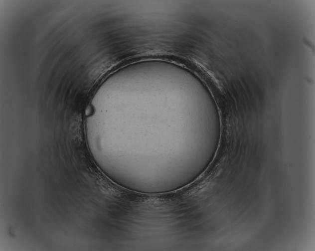 X0000092301265200710051214