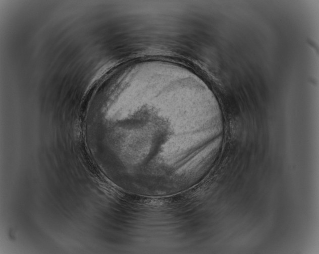 X0000092301266200710051214