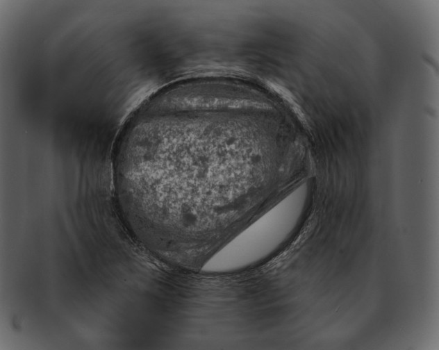 X0000092301267200710051214