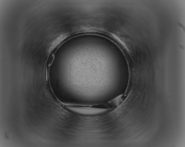 X0000092301269200710051214