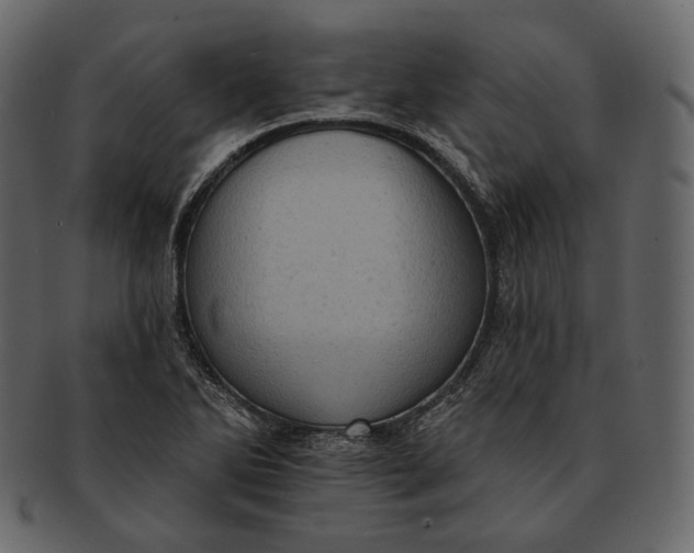 X0000092301270200710051214