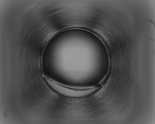 X0000092301273200710051214