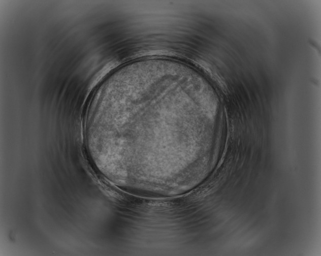 X0000092301274200710051214