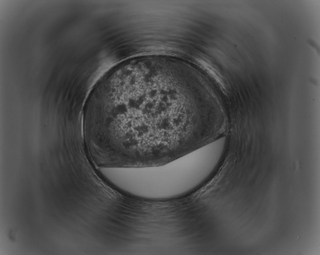 X0000092301275200710051213