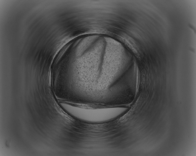 X0000092301276200710051213