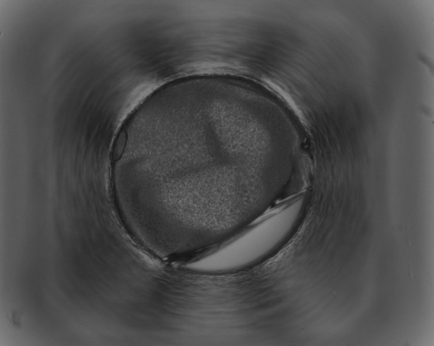 X0000092301277200710051213