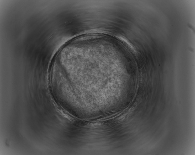 X0000092301278200710051213