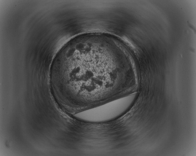 X0000092301279200710051213