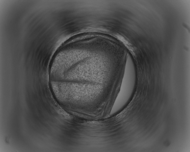 X0000092301280200710051213