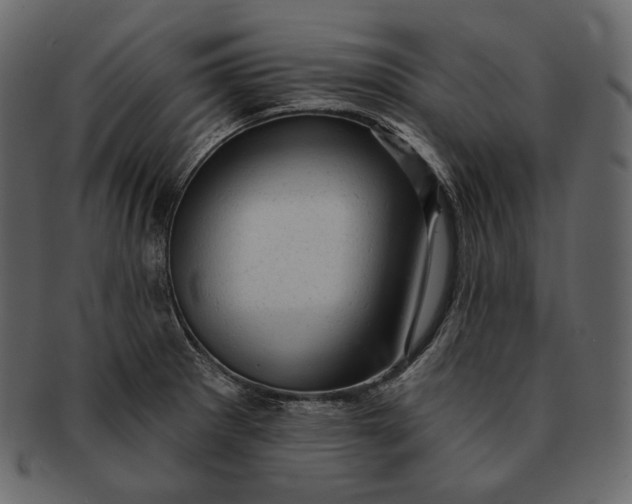 X0000092301281200710051213