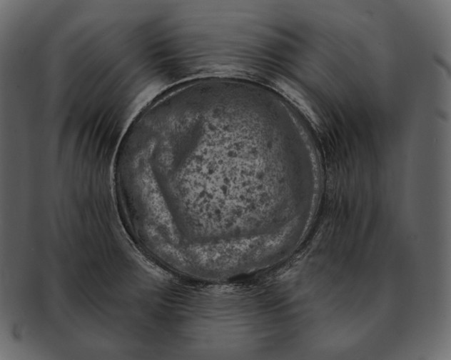 X0000092301283200710051213