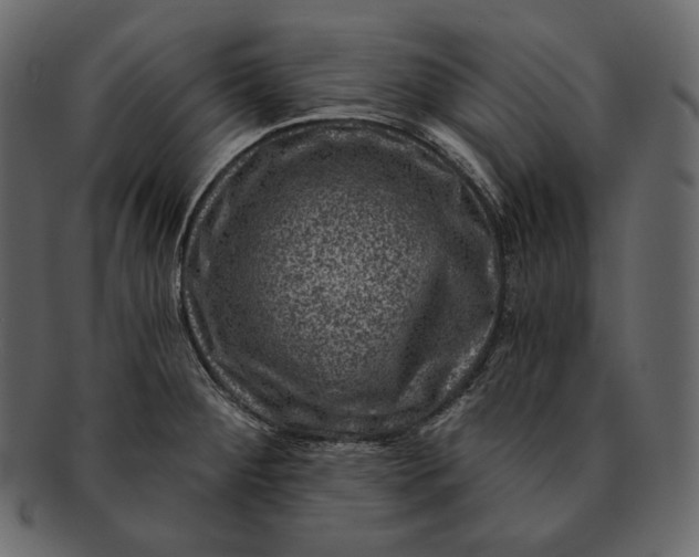 X0000092301284200710051213