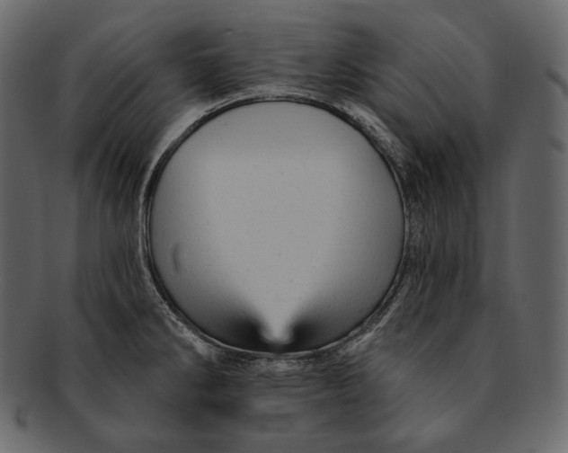 X0000092301286200710051213