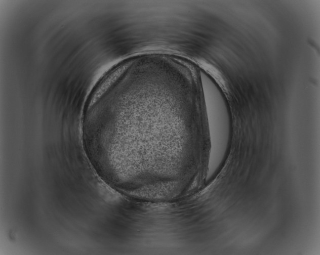 X0000092301288200710051213