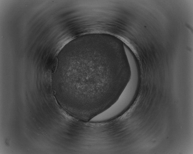 X0000092301289200710051213