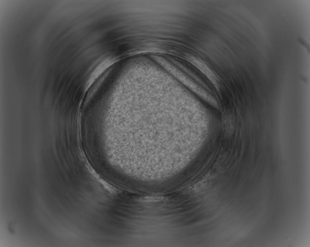 X0000092301290200710051213