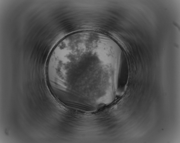 X0000092301291200710051213