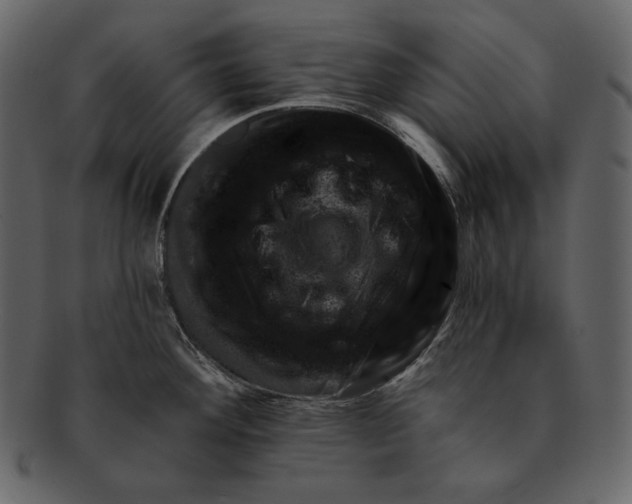 X0000092301292200710051213