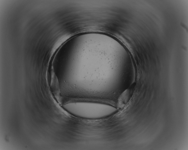 X0000092301293200710051213