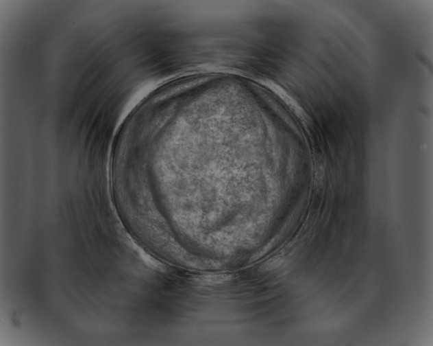 X0000092301294200710051213