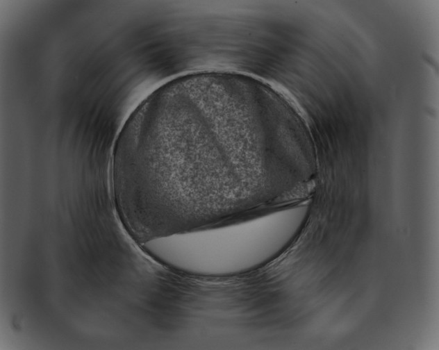 X0000092301295200710051213