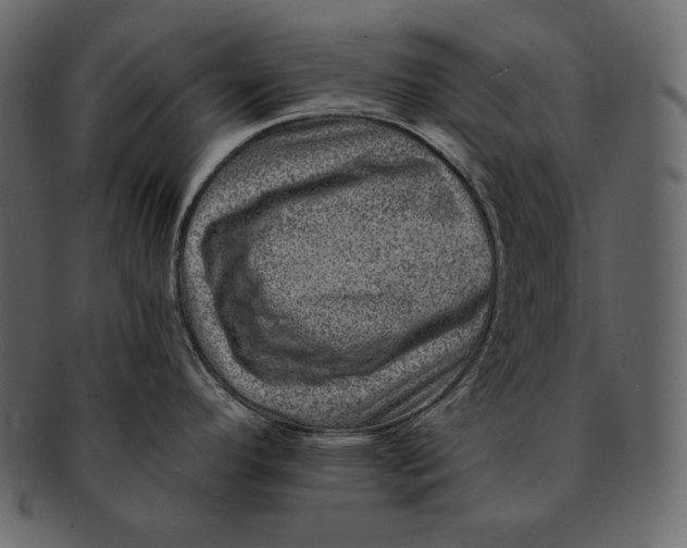 X0000092301296200710051213