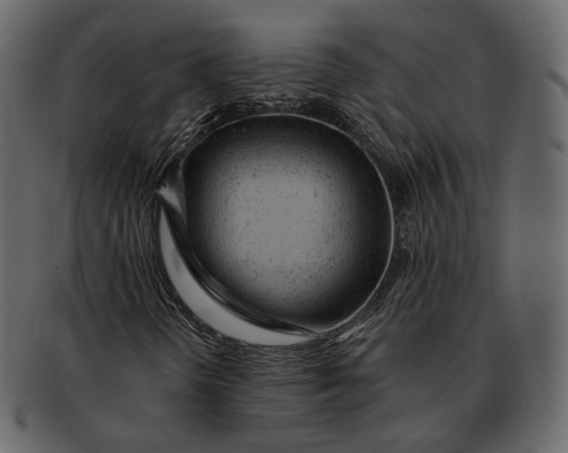 X0000092301298200710051213