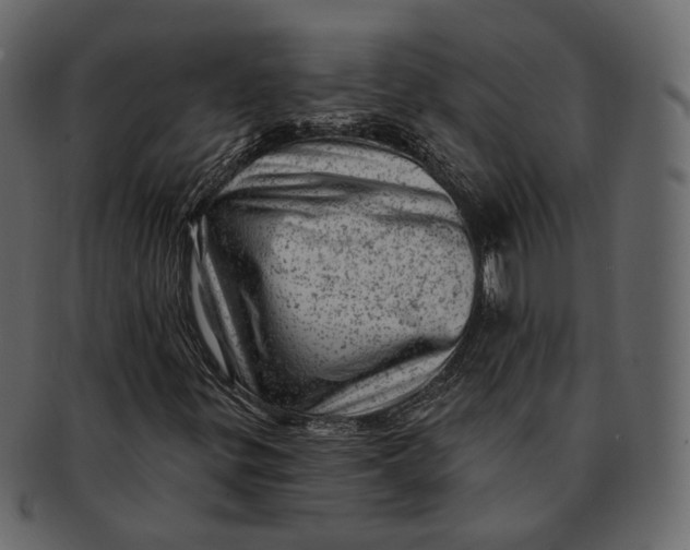 X0000092301299200710051213