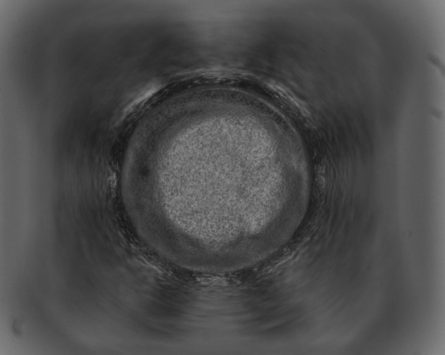 X0000092301302200710051213