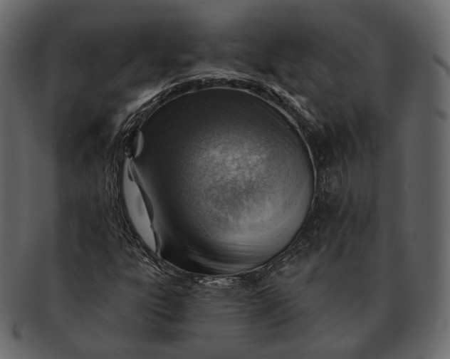 X0000092301303200710051213