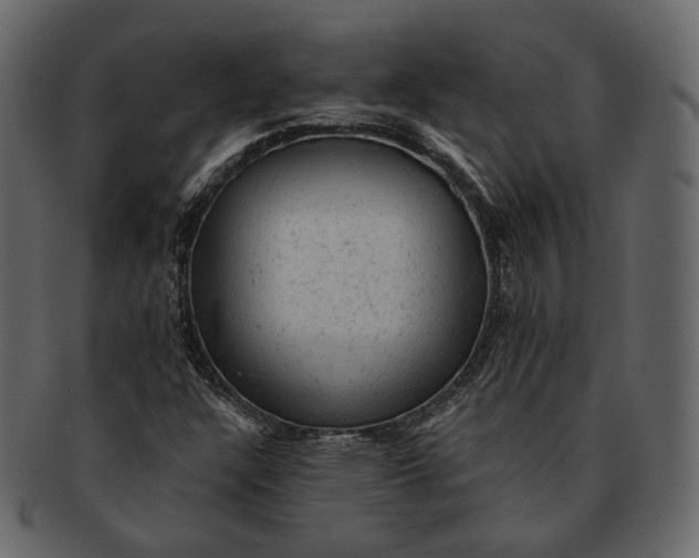 X0000092301304200710051213