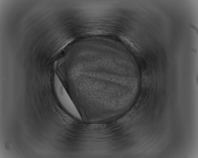 X0000092301305200710051213