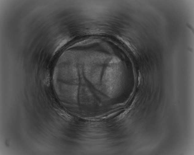 X0000092301306200710051213