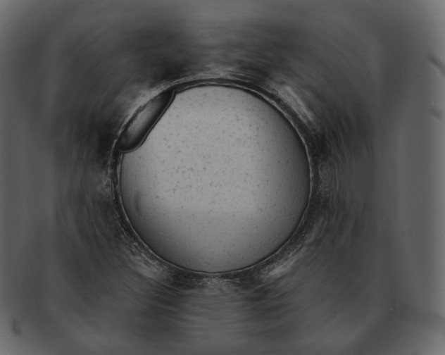 X0000092301308200710051213