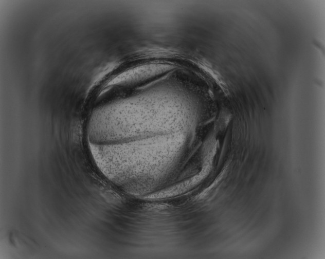 X0000092301309200710051213