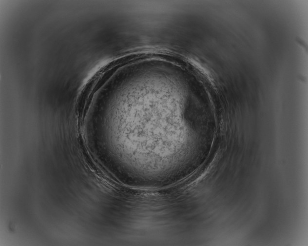 X0000092301310200710051213