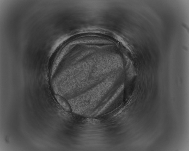 X0000092301312200710051213