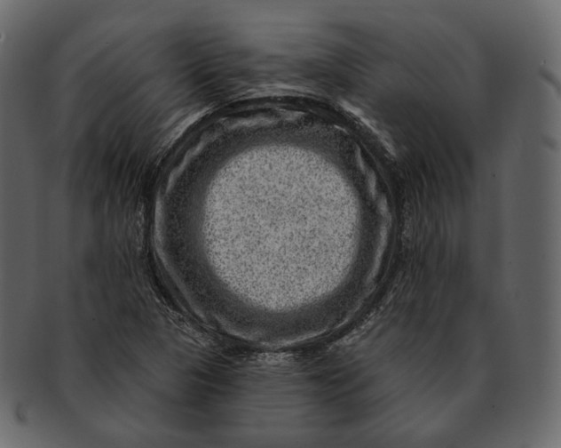 X0000092301313200710051213