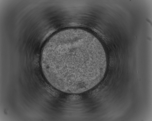 X0000092301314200710051213