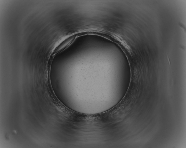 X0000092301316200710051213