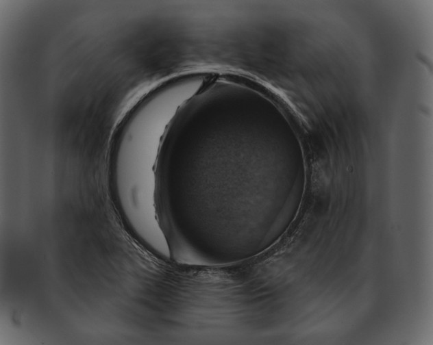 X0000092301319200710051213