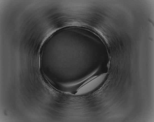 X0000092301323200710051213