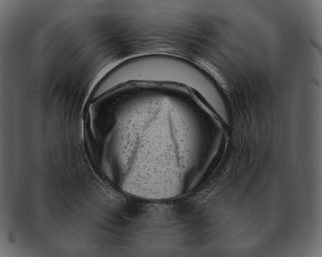 X0000092301324200710051213