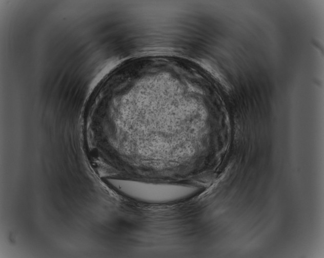 X0000092301325200710051213