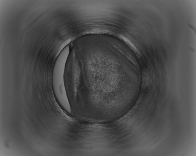 X0000092301329200710051213