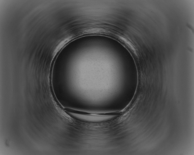 X0000092301330200710051213