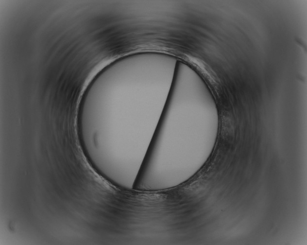 X0000092301331200710051213