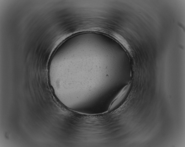 X0000092301332200710051213