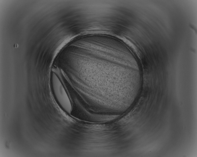 X0000092301333200710051213